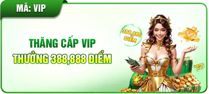 Nhà cái-Cm8882 com | Thăng cấp VIP thưởng 388,888 Điểm